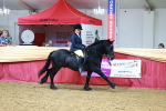 SBM_23232