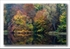 The Autumnal Fisherman