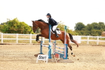 Class 8 - Clear Round portfolio