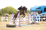 SBM_003351