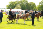 SBM_02610