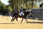 SBM_16542