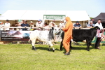 SBM_08341