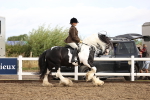 SBM_00255