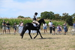 WJ6_8329