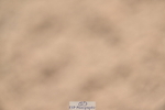 240509A-121520-01703