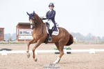 Cls 7 Premier League FEI Intermediate I portfolio