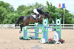 Cls 3 Foxhunter portfolio