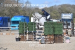 BPP_2981