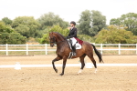 SBM_006431