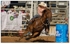 Barrel Racing 2