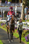 230923-Race 5-Vintage Clarets-6838