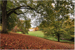 Autumn at Cockington Country Park