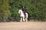 WJ6_7075