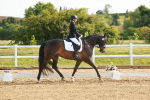 SBM_006956