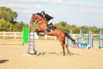SBM_007982