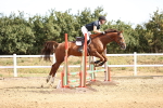 SBM_000197