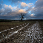 Day 8 - The Muddy Way