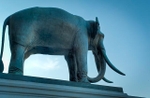 National symbol