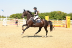 SBM_001360