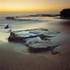 Turrimetta Dawn