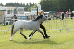 SBM_00626