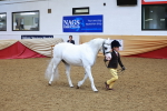 SBM_10731
