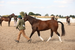 SBM_08205