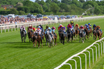 230526-Race 7-Golden Strike-0661