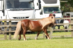 SBM_01805
