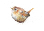 Wren Limited Edition Print 314