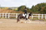SBM_009324