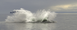 Southeast Alaska portfolio