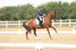 SBM_007533