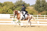 SBM_015460