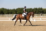 SBM_006461