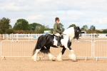 SBM_15656
