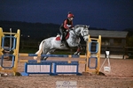 90-95cm Arena Eventing portfolio