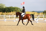 SBM_008093