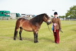 SBM_00652