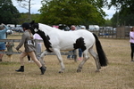 WJ6_8389