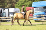 SBM_12505