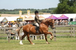 SBM_06930