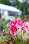 RUD_0594