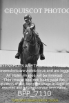 BPP_7110