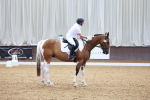 SBM_000753