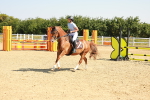 SBM_000038