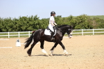 SBM_009054