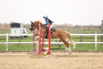 SBM_002079