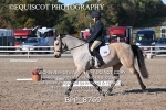 BPP_8769